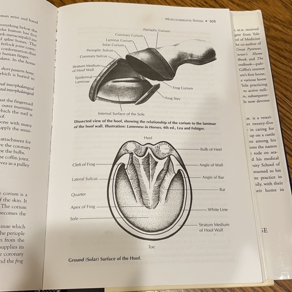 Horse Owner's Veterinary Handbook, Second Edition - Picture 4 of 4
